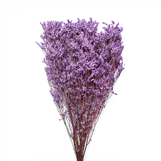 Limonium